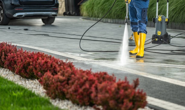 Best Sidewalk and Walkway Cleaning  in Lawtey, FL